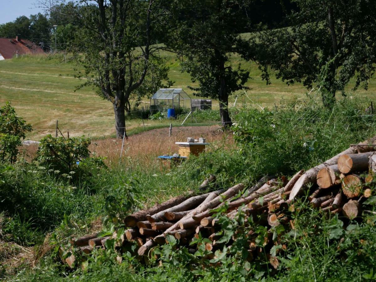 Haus Vita Ferien- Und Seminarhaus Urberg Exteriör bild